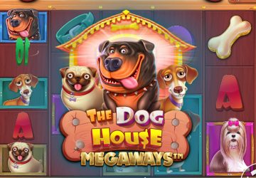 Игра The Dog House Megaways в Olimp Casino